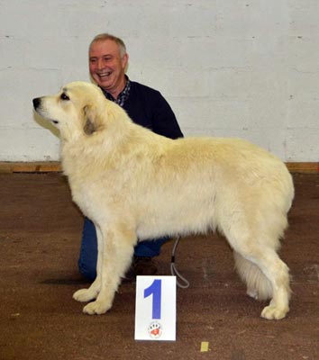 Fendy du Val de Pyrène