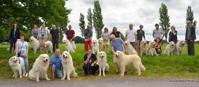 Promenade des chiens du Val de Pyrène mai 2017